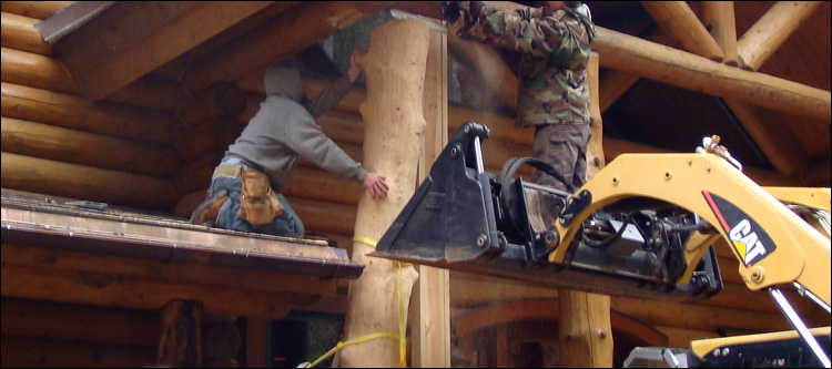 Log Home Log Replacement  Highfalls,  North Carolina