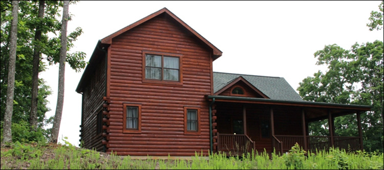 Professional Log Home Borate Application  Gulf,  North Carolina